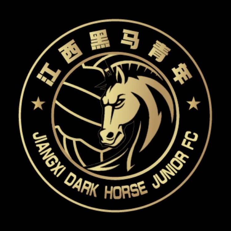  官方：江西黑馬青年完成異地遷移程序，更名為溫州職業(yè)足球俱樂部